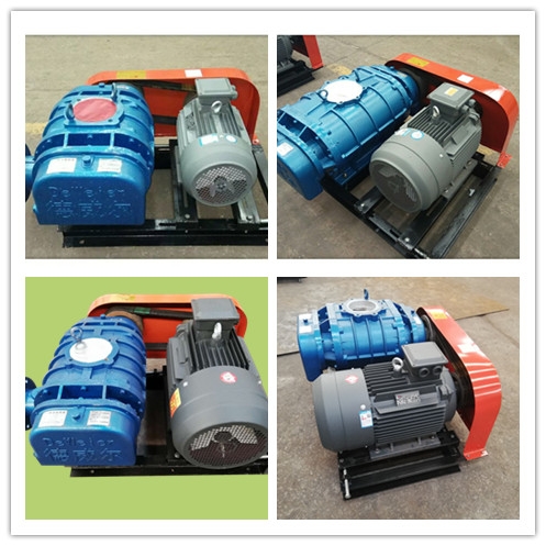 皮帶傳動(dòng)羅茨風(fēng)機(jī)展示