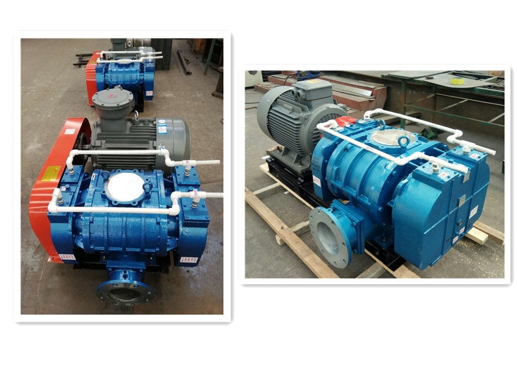 山東德威爾羅茨風(fēng)機(jī)選型 山東德威爾羅茨風(fēng)機(jī)選型